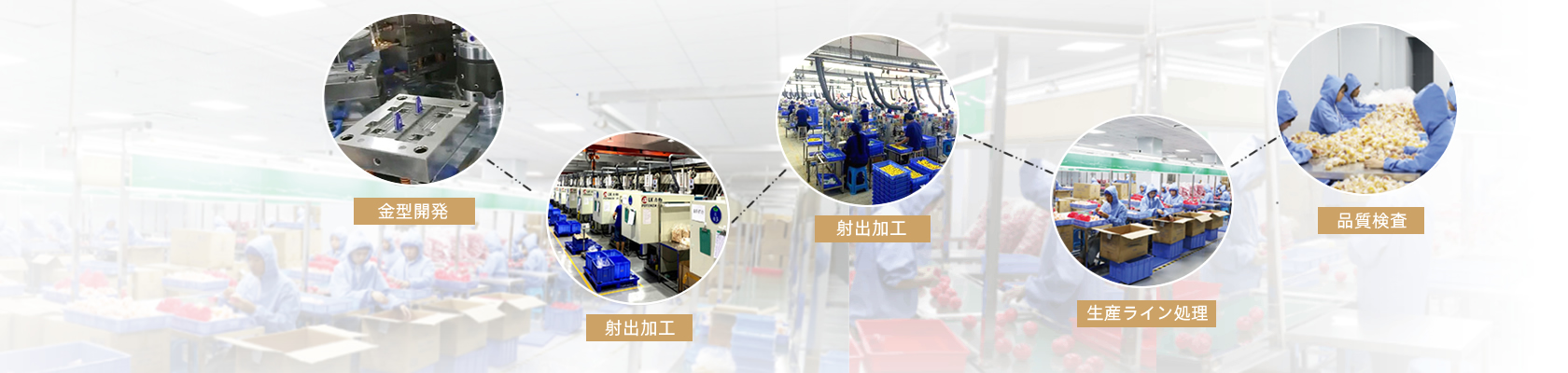 ����Ώ���