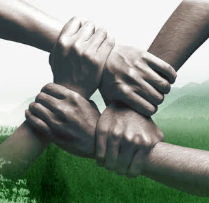 ���ǵ��Ŷӿں�